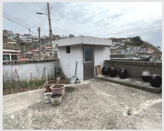  2024Ÿ��558 ���� ���ؽ� ��ȣ���� 43-6       ���ð��