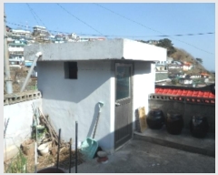  2024Ÿ��558 ���� ���ؽ� ��ȣ���� 43-6       ���ð��