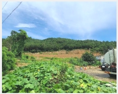  2024Ÿ1148    꼺츮 201-1      (Ӿ)