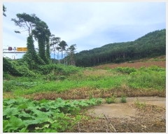  2024Ÿ1148    꼺츮 201-1      (Ӿ)