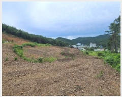  2024Ÿ1148    꼺츮 201-1      (Ӿ)