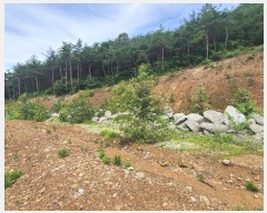  2024Ÿ1148    꼺츮 201-1      (Ӿ)