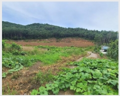  2024Ÿ1148    꼺츮 201-1      (Ӿ)