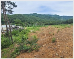  2024Ÿ1148    꼺츮 201-1      (Ӿ)