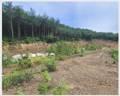  2024Ÿ1148    꼺츮 201-1      (Ӿ)