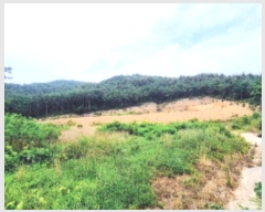  2024Ÿ1148    꼺츮 201-1      (Ӿ)