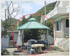  2024Ÿ��1254  ���ڽü����