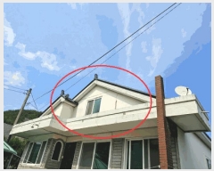  2024Ÿ��1254  ���ڽü����