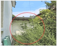  2024Ÿ��1254  ���ڽü����