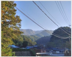  2024Ÿ1728  ô  372-2       (Ӿ)