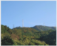  2024Ÿ1728  ô  372-2       (Ӿ)