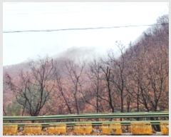  2024Ÿ1728  ô  372-2       (Ӿ)