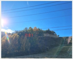  2024Ÿ1759   ջ  21      (Ӿ)