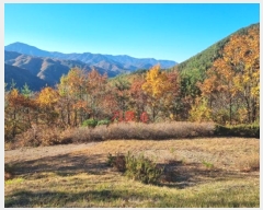  2024Ÿ1759   ջ  21      (Ӿ)