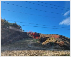  2024Ÿ1759   ջ  21      (Ӿ)