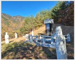  2024Ÿ1759   ջ  21      (Ӿ)