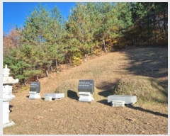  2024Ÿ1759   ջ  21      (Ӿ)