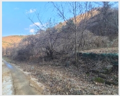  2024Ÿ1865  ô  49       (1)