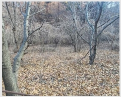  2024Ÿ1865  ô  49       (1)