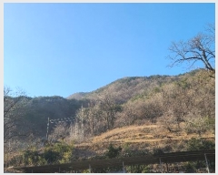  2024Ÿ1865  ô  49       (1)