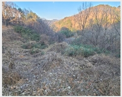  2024Ÿ1865  ô  49       (1)