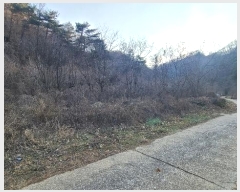  2024Ÿ1865  ô  49       (1)