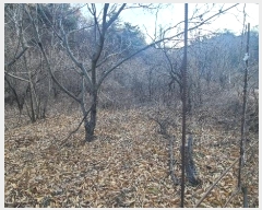  2024Ÿ1865  ô  49       (1)