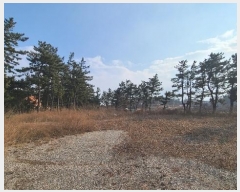  2024Ÿ1919   õ õ 350-16      (Ӿ)