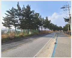  2024Ÿ1919   õ õ 350-16      (Ӿ)