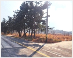  2024Ÿ1919   õ õ 350-16      (Ӿ)