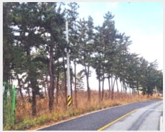  2024Ÿ1919   õ õ 350-16      (Ӿ)