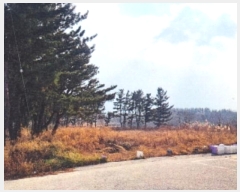  2024Ÿ1919   õ õ 350-16      (Ӿ)