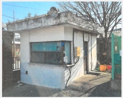  2024Ÿ��1995 ���� ������ �ֹ����� ���׸� 1207-3      ������