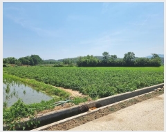  2024Ÿ��52795 ���� ������ �ڿ��� 11-4       ����(��1)���