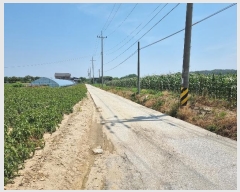  2024Ÿ��52795  ����Ʈ���