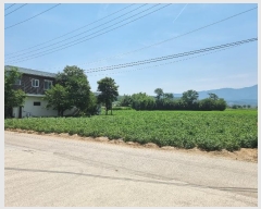  2024Ÿ��52795  ����Ʈ���