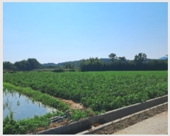  2024Ÿ��52795  ����Ʈ���