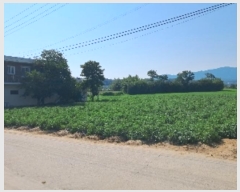  2024Ÿ��52795  ����Ʈ���