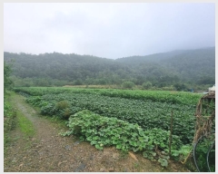  2024Ÿ��54104  ����