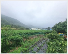  2024Ÿ��54104  ����