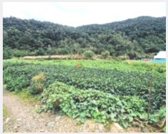  2024Ÿ��54104  ����