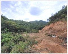  2024Ÿ��54159 ���� ������ ������ �������� ��40      ����(�Ӿ�)���