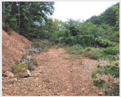  2024Ÿ��54159 ���� ������ ������ �������� ��40      ����(�Ӿ�)���