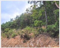  2024Ÿ��54159 ���� ������ ������ �������� ��40      ����(�Ӿ�)���