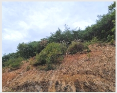  2024Ÿ��54159 ���� ������ ������ �������� ��40      ����(�Ӿ�)���