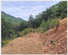  2024Ÿ��54159 ���� ������ ������ �������� ��40      ����(�Ӿ�)���