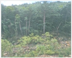  2024Ÿ��54159 ���� ������ ������ �������� ��40      ����(�Ӿ�)���