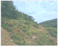  2024Ÿ��54159 ���� ������ ������ �������� ��40      ����(�Ӿ�)���