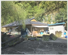  2024Ÿ��54289 ���� ��ô�� ������ ���̸� 329      ����(����)���