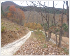  2024Ÿ��54814  �����